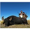Image 3 : Argentina: 5 Day Hunt for 4 hunters, includes 1 Blackbuck, 1 Patagonic Ram and 2 Wild Boars