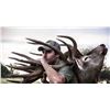 Image 4 : Argentina: 5 Day Hunt for 4 hunters, includes 1 Blackbuck, 1 Patagonic Ram and 2 Wild Boars