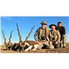 Image 5 : Argentina: 5 Day Hunt for 4 hunters, includes 1 Blackbuck, 1 Patagonic Ram and 2 Wild Boars