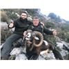 Image 6 : SPAIN: 4 Day 3 Night Hunters Choice Combination Hunt, in a $4,000 TF Discount for 1 Hunter.