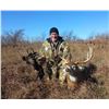 Image 4 : Kansas: 5 Day 5 Night Trophy Whitetail Deer Archery Hunt for 1 Hunter.