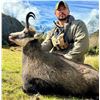 Image 1 : New Zealand: 3 Day 4 Night Chamois Hunt for 2 Hunters, Including the Trophy Fees for 2 Chamois