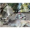 Image 7 : New Zealand: 3 Day 4 Night Chamois Hunt for 2 Hunters, Including the Trophy Fees for 2 Chamois