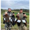 Image 9 : New Zealand: 3 Day 4 Night Chamois Hunt for 2 Hunters, Including the Trophy Fees for 2 Chamois