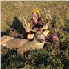 Image 5 : Nebraska: 5 Day 4 Night 2026 Deer Hunt (Mule Deer or Whitetail Deer) for One Hunter