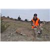 Image 9 : Nebraska: 5 Day 4 Night 2026 Deer Hunt (Mule Deer or Whitetail Deer) for One Hunter