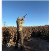 Image 3 : Argentina: 4-day 3-night High Volume Dove Hunt For 4 Hunters.