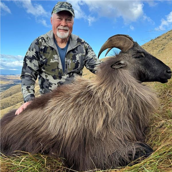 New Zealand: 5 D, 4 N Hunt for 1 Hunter & 1 Observer, Includes 1 Himalayan Tahr OR 1 Red Stag