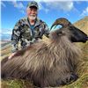 Image 1 : New Zealand: 5 D, 4 N Hunt for 1 Hunter & 1 Observer, Includes 1 Himalayan Tahr OR 1 Red Stag