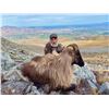 Image 6 : New Zealand: 5 D, 4 N Hunt for 1 Hunter & 1 Observer, Includes 1 Himalayan Tahr OR 1 Red Stag