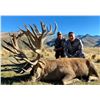 Image 9 : New Zealand: 5 D, 4 N Hunt for 1 Hunter & 1 Observer, Includes 1 Himalayan Tahr OR 1 Red Stag