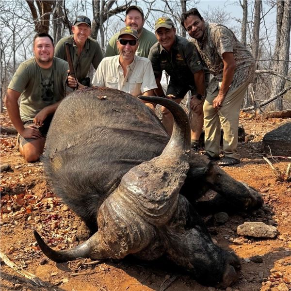 Mozambique: 10 Day Cape Buffalo 2026 Cancellation Hunt for 1 hunter, Includes 1 Cape Buffalo + tf di