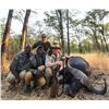 Image 3 : Mozambique: 10 Day Cape Buffalo 2026 Cancellation Hunt for 1 hunter, Includes 1 Cape Buffalo + tf di