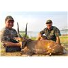 Image 8 : Mozambique: 10 Day Cape Buffalo 2026 Cancellation Hunt for 1 hunter, Includes 1 Cape Buffalo + tf di