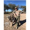 Image 5 : Argentina: 5 Day 6 Night High Volume Duck & Dove Hunt for 3 Hunters