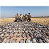 Image 8 : Argentina: 5 Day 6 Night High Volume Duck & Dove Hunt for 3 Hunters