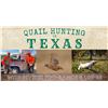 Image 10 : Texas: 2 Night, 3 Hunt Bobwhite and Blue Quail Hunt with dogs for 2 hunters. 48 bird limit