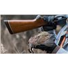 Image 4 : Texas: 2 Night, 3 Hunt Bobwhite and Blue Quail Hunt with dogs for 2 hunters. 48 bird limit