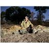Image 12 : Zimbabwe: 7 Day Exportable Trophy Bull Elephant Hunt for 1 hunter. Trophy Fee Included.