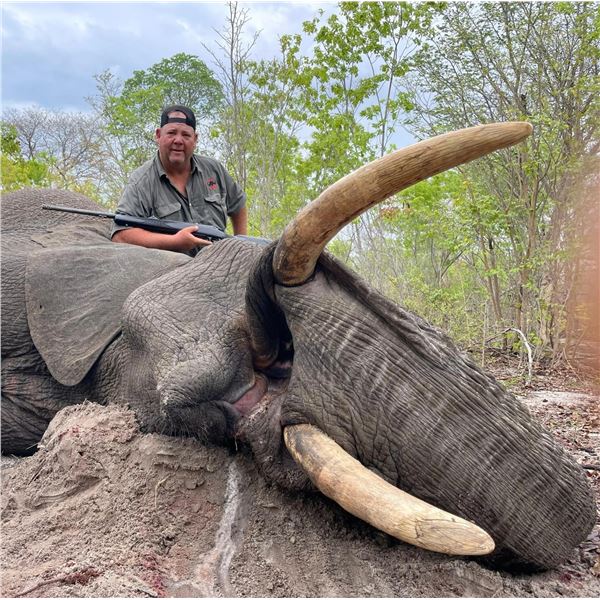 Zimbabwe: 7 Day Exportable Trophy Bull Elephant Hunt for 1 hunter. Trophy Fee Included.