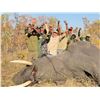 Image 3 : Zimbabwe: 7 Day Exportable Trophy Bull Elephant Hunt for 1 hunter. Trophy Fee Included.