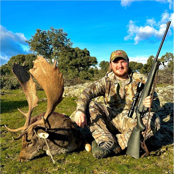 Spain: Trophy Big Game for 1 Hunter/Includes 1 of the following Mouflon Sheep, Fallow or Roe Deer.