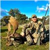 Image 1 : Spain: Trophy Big Game for 1 Hunter/Includes 1 of the following Mouflon Sheep, Fallow or Roe Deer.