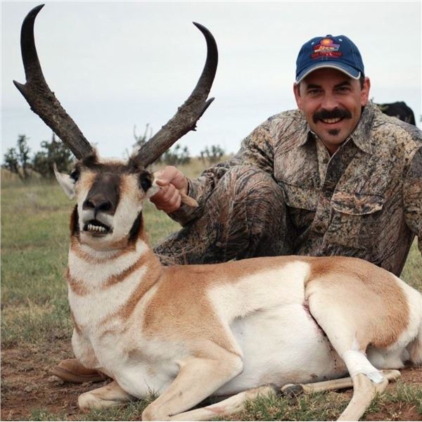 New Mexico: 2 Day 3 Night Trophy Antelope Hunt for 1 Hunter and 1 Observer
