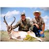 Image 2 : New Mexico: 2 Day 3 Night Trophy Antelope Hunt for 1 Hunter and 1 Observer