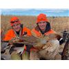 Image 12 : South Dakota: 3 Day 3 Night Exclusive Party Pheasant Hunt for 10 Hunters