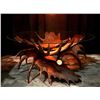 Image 1 : Artist Casey Dinkel's One-Of-A-Kind Moose Antler Table.