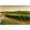 Image 6 : Italy: 6 N Private Apartment in Tuscany for 2 Adults, includes private dinner show & wine tasting