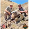Image 2 : Oregon: Eden Ridge Outfitters $2,000 credit towards a 5 Day Big Game Hunt for 1 Hunter.