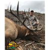Image 3 : Oregon: Eden Ridge Outfitters $2,000 credit towards a 5 Day Big Game Hunt for 1 Hunter.
