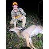 Image 5 : Kansas: 5 Day 5 Night Guided Youth Whitetail Deer Hunt for 1 Hunter, Includes I Buck in Velvet.
