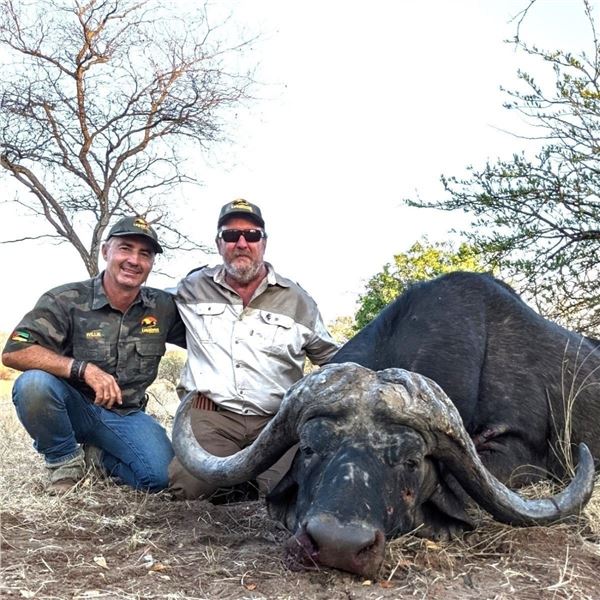 Mozambique: 10 D Cape Buffalo 2027 or 2028 Hunt for 1 hunter, Includes 1 Cape Buffalo + tf discount