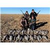 Image 2 : Texas: 3 Day 3 Night West Texas Sandhill Crane Hunt for  2 Hunters