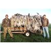 Image 3 : Texas: 3 Day 3 Night West Texas Sandhill Crane Hunt for  2 Hunters