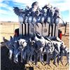 Image 4 : Texas: 3 Day 3 Night West Texas Sandhill Crane Hunt for  2 Hunters