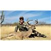 Image 3 : Mexico: 4 Day 5 Night Trophy Coues Deer Hunt for 2 Hunters, includes 2 Trophy Coues Deer.