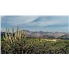 Image 9 : Mexico: 4 Day 5 Night Trophy Coues Deer Hunt for 2 Hunters, includes 2 Trophy Coues Deer.