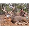 Image 2 : New Mexico: 4 Day Trophy Mule Deer rifle hunt for 2 hunters. Includes 1 Mule Deer per Hunter.