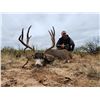 Image 3 : New Mexico: 4 Day Trophy Mule Deer rifle hunt for 2 hunters. Includes 1 Mule Deer per Hunter.