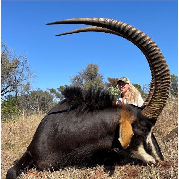 South Africa: 7 Day Plains Game Hunt for 2 Hunters / Includes a $1,500 Trophy Fee Credit Per Hunter