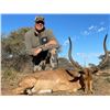 Image 8 : South Africa: 7 Day Plains Game Hunt for 2 Hunters / Includes a $1,500 Trophy Fee Credit Per Hunter