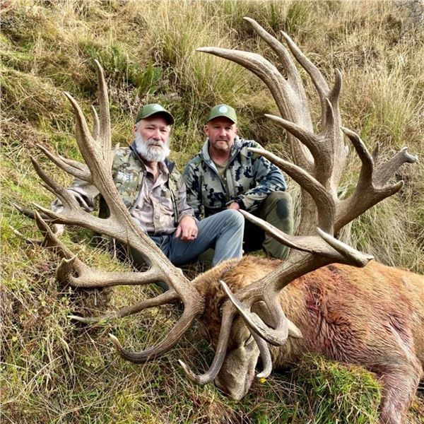 New Zealand: 5 D, 4 N Red Stag Hunt for 2 Hunters & 2 Observers, plus a $2,500 TF Credit per Hunter.