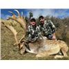 Image 4 : New Zealand: 5 D, 4 N Red Stag Hunt for 2 Hunters & 2 Observers, plus a $2,500 TF Credit per Hunter.