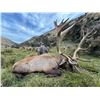 Image 5 : New Zealand: 5 D, 4 N Red Stag Hunt for 2 Hunters & 2 Observers, plus a $2,500 TF Credit per Hunter.