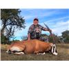 Image 5 : Texas: 3 Day 2 Night Whitetail & Exotic Hunt for 2 Hunters / Includes a $6,000 Trophy Fee Credit