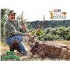 Image 7 : Texas: 3 Day 2 Night Whitetail & Exotic Hunt for 2 Hunters / Includes a $6,000 Trophy Fee Credit